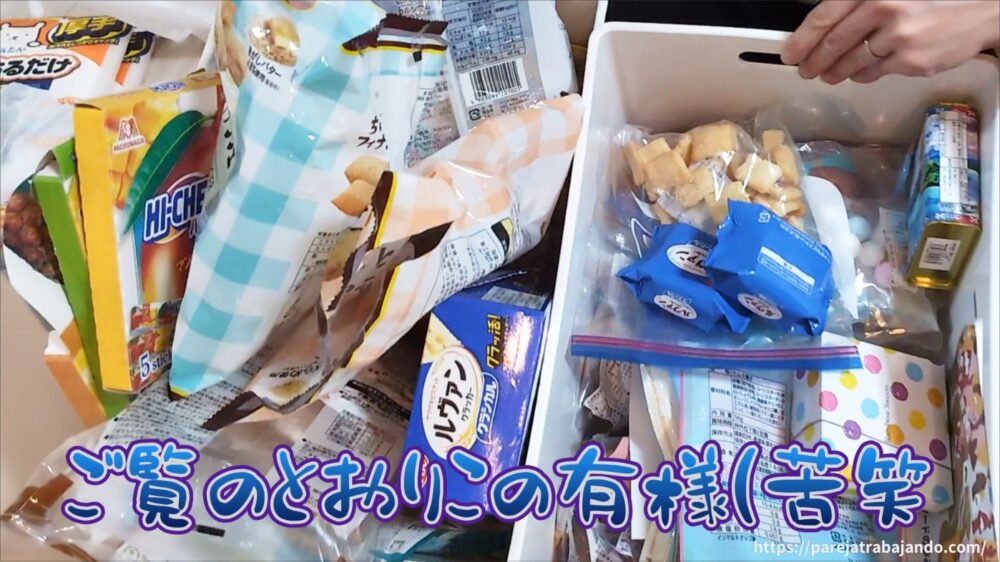 ゆる終活・おうちと向き合う｜第８回：捨て活中になぜ購入…一ヶ所予定がなぜか全出し→無事カヲスになった収納リセット２４