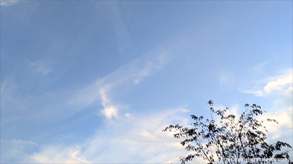 朝の散歩中の空１