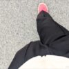 【アラフォー仲間に捧ぐ】「あさんぽ」のススメ