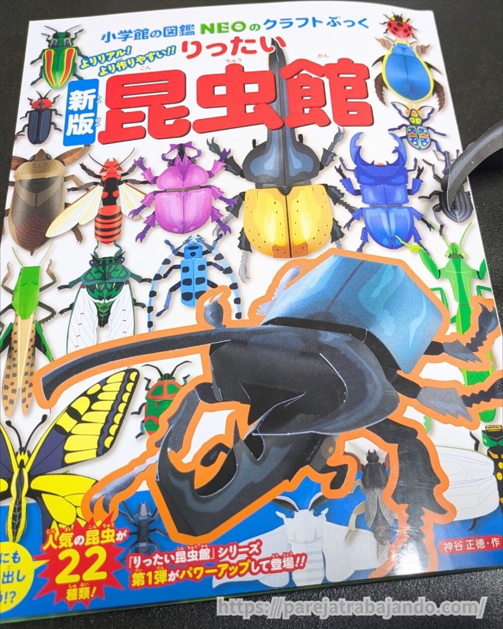 小学館NEOりったい昆虫館・イメージ１